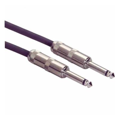 PEAVEY PV 20' TRS TO TRS